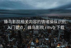 蜂鸟影院相关内容的情绪操纵识别：入门要点，蜂鸟影院 rmvb 下载