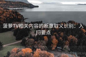 菠萝TV相关内容的断章取义识别：入门要点