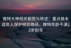 推特大神相关截图与转述：重点做未成年人保护核验路径，推特年龄不满13岁封号