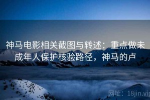 神马电影相关截图与转述：重点做未成年人保护核验路径，神马的卢