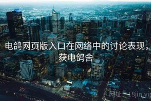 电鸽网页版入口在网络中的讨论表现，获电鸽舍