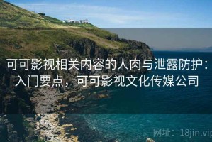 可可影视相关内容的人肉与泄露防护：入门要点，可可影视文化传媒公司