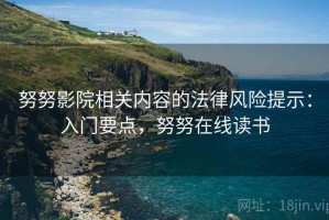 努努影院相关内容的法律风险提示：入门要点，努努在线读书