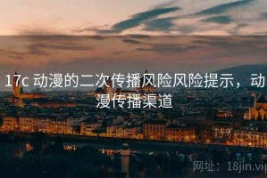 17c 动漫的二次传播风险风险提示，动漫传播渠道