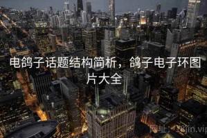 电鸽子话题结构简析，鸽子电子环图片大全