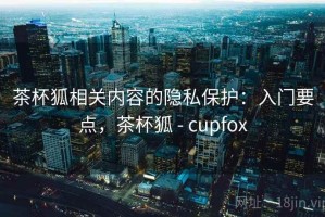 茶杯狐相关内容的隐私保护：入门要点，茶杯狐 - cupfox