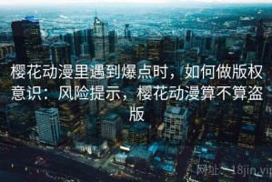 樱花动漫里遇到爆点时，如何做版权意识：风险提示，樱花动漫算不算盗版