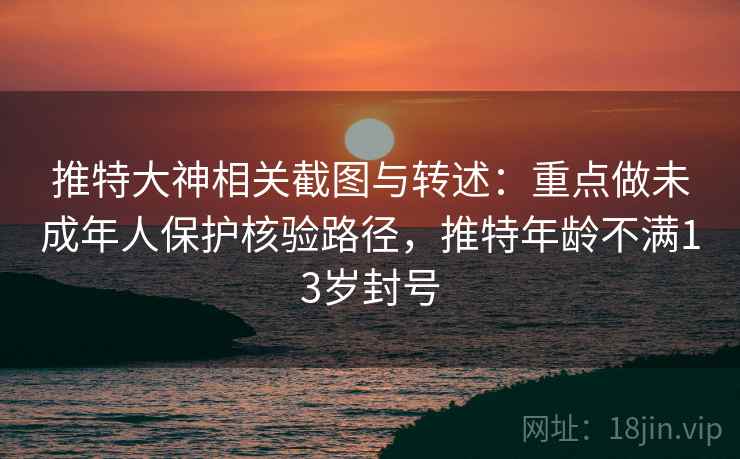 推特大神相关截图与转述：重点做未成年人保护核验路径，推特年龄不满13岁封号